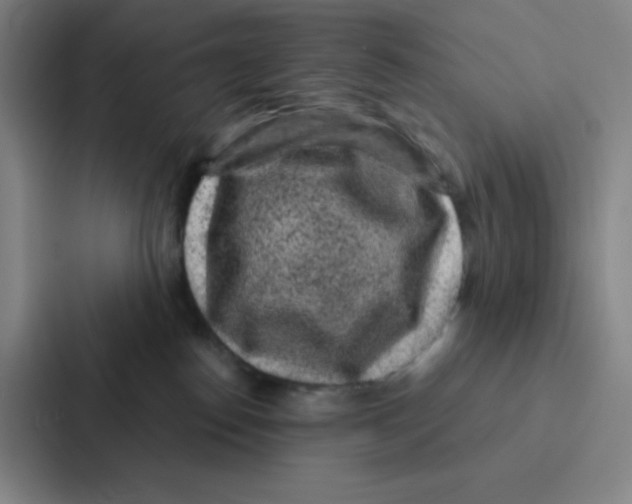 X0000086950186200705141829