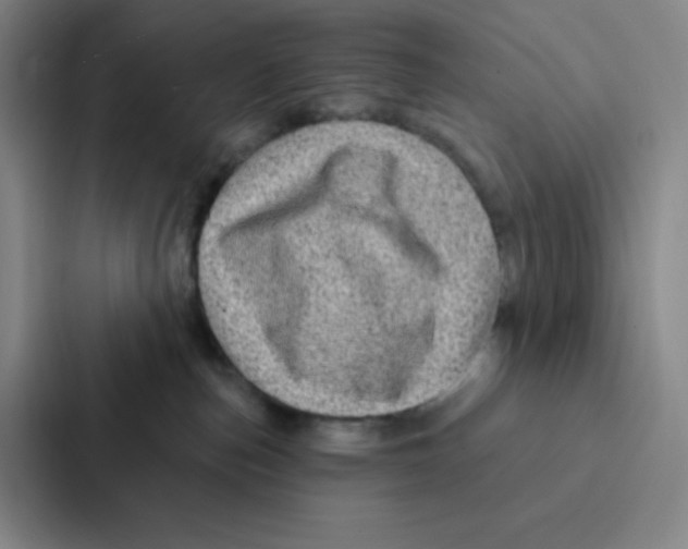 X0000086950187200705141829