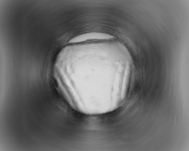 X0000086950189200705141829