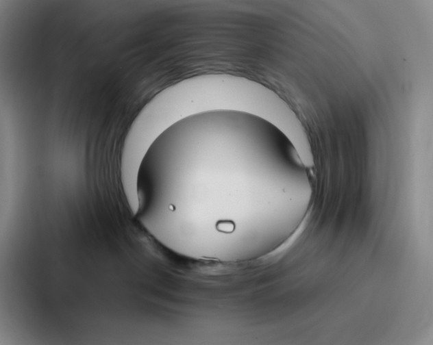 X0000086950190200705141829