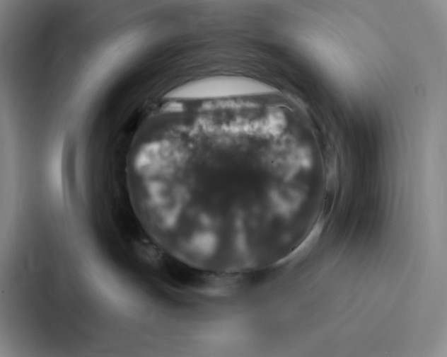 X0000086950191200705141829