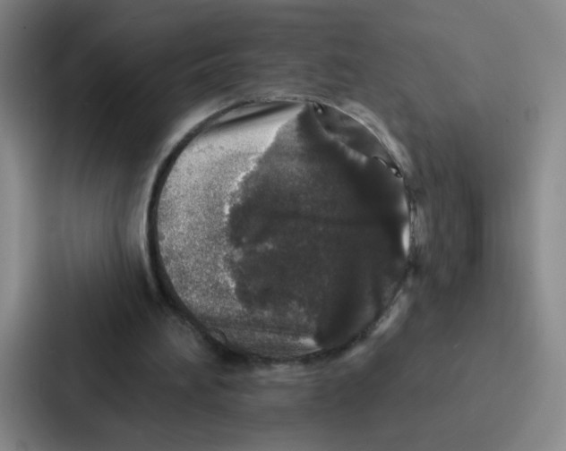 X0000086950196200705141829