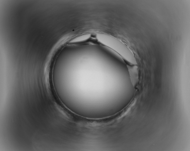 X0000086950197200705141829