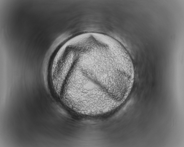 X0000086950199200705141829