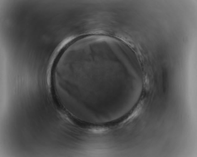 X0000086950200200705141829