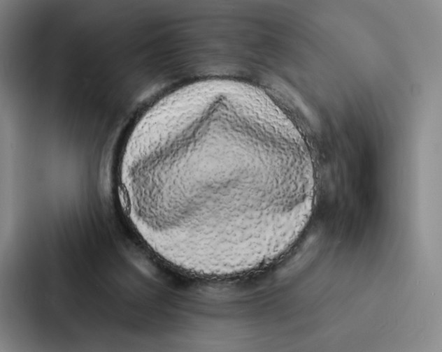 X0000086950203200705141829