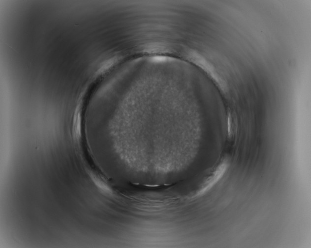 X0000086950205200705141829