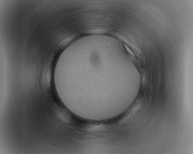 X0000086950206200705141829