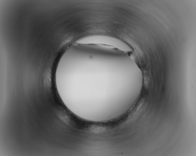 X0000086950207200705141829