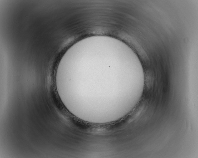 X0000086950208200705141829