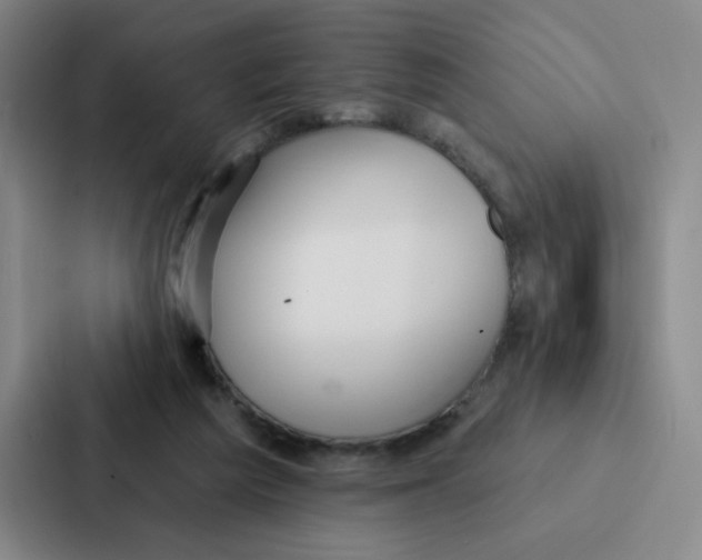 X0000086950209200705141829