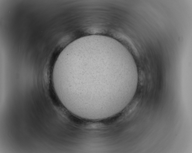 X0000086950210200705141829