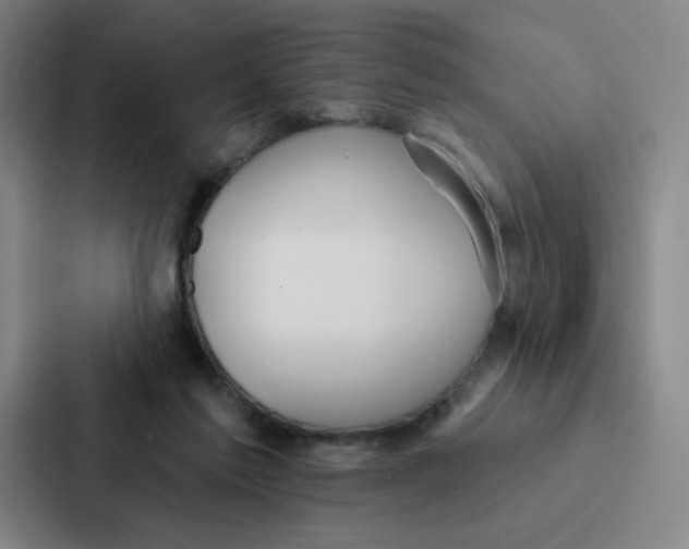 X0000086950213200705141828