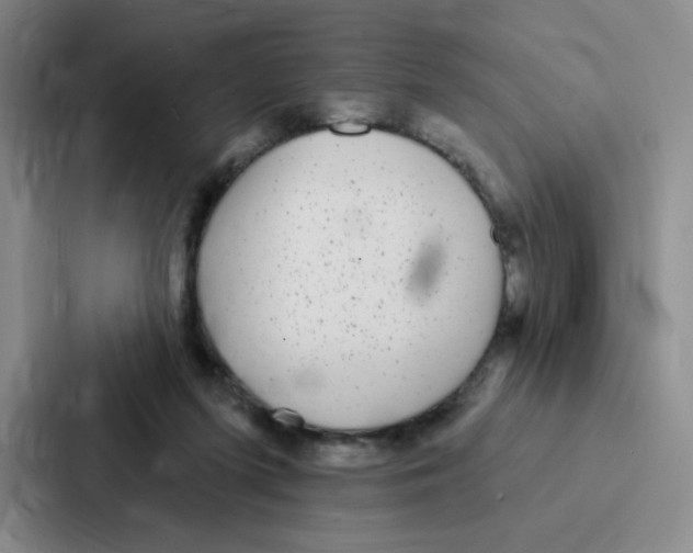 X0000086950215200705141828