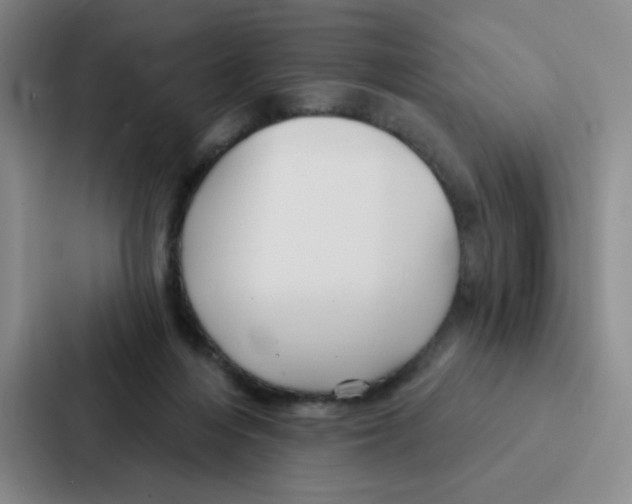 X0000086950216200705141828