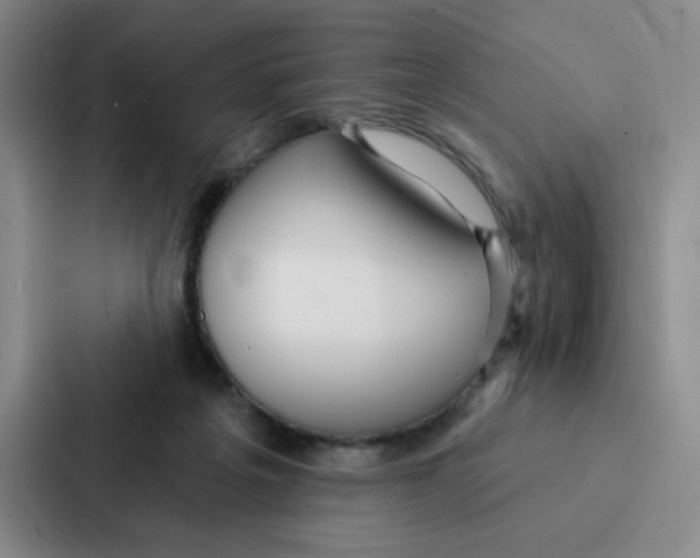 X0000086950217200705141828