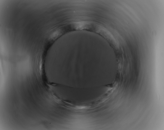 X0000086950219200705141828