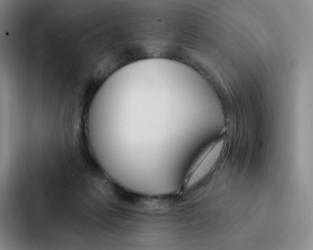 X0000086950221200705141828