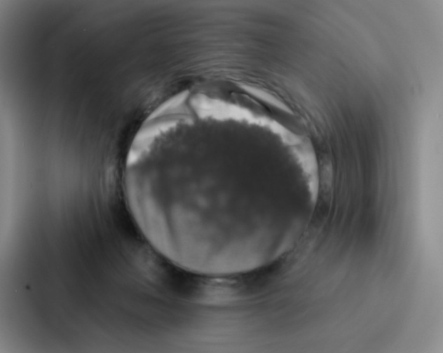 X0000086950222200705141828