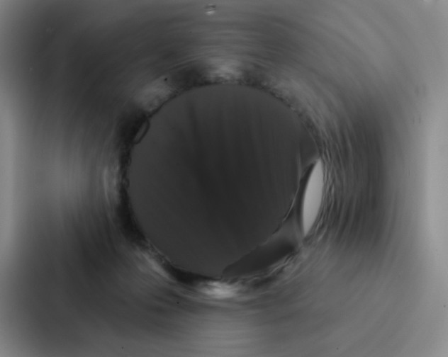 X0000086950223200705141828