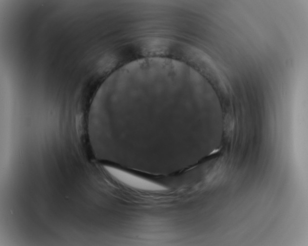 X0000086950224200705141828