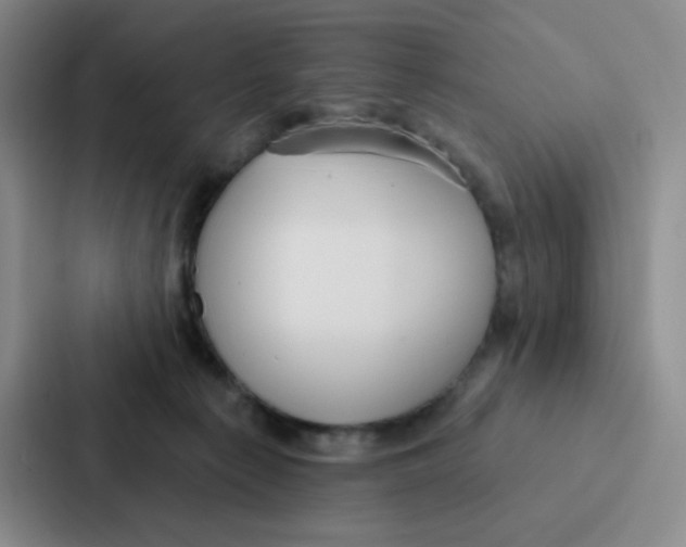 X0000086950225200705141828