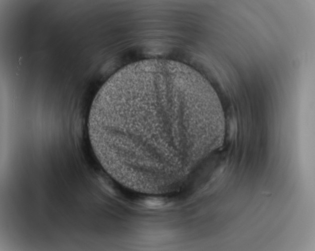 X0000086950227200705141828