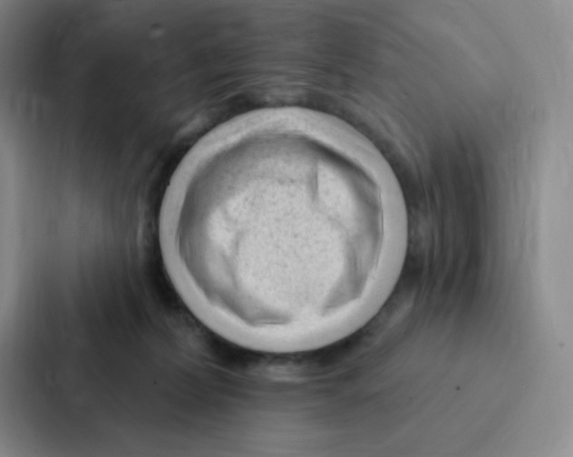 X0000086950228200705141828