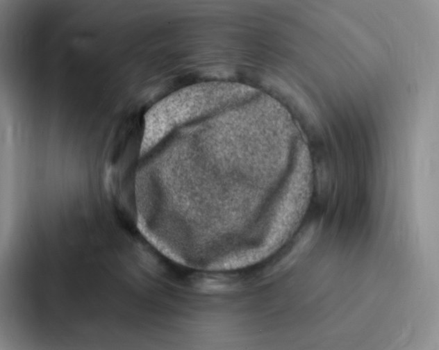 X0000086950229200705141828