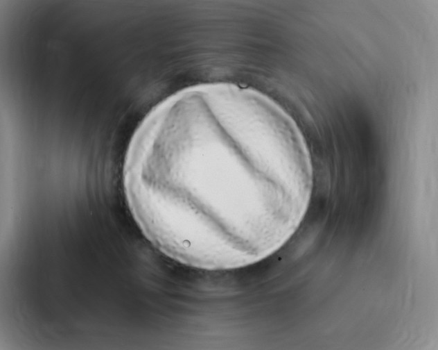 X0000086950230200705141828