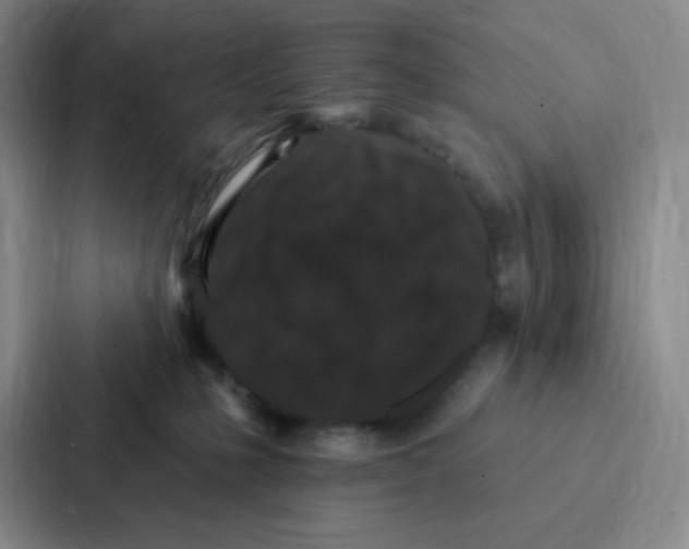 X0000086950231200705141828