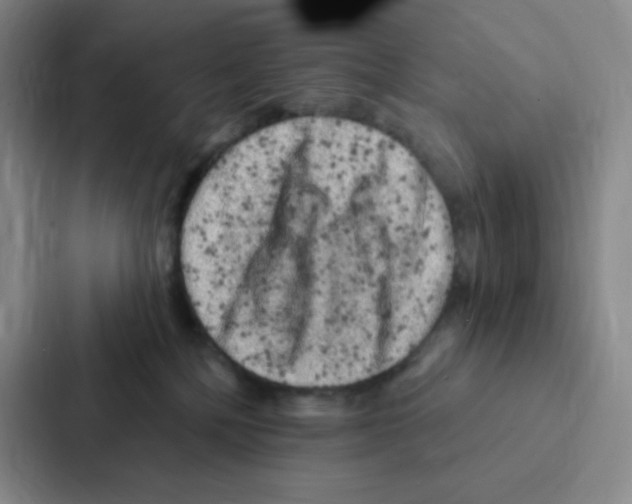 X0000086950232200705141828