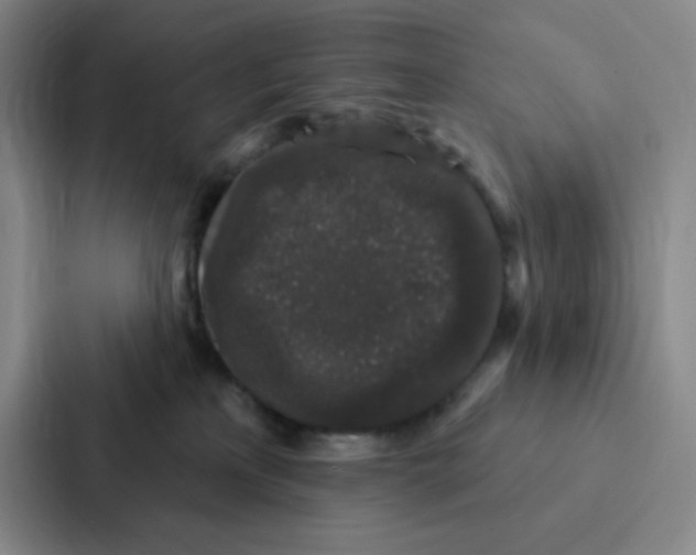 X0000086950233200705141828