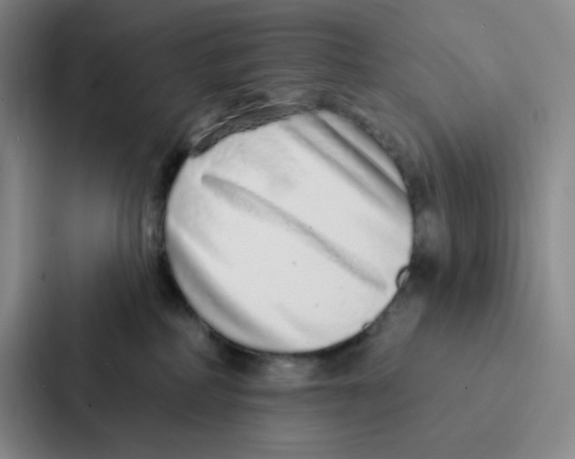 X0000086950234200705141828