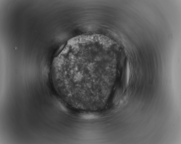 X0000086950235200705141828