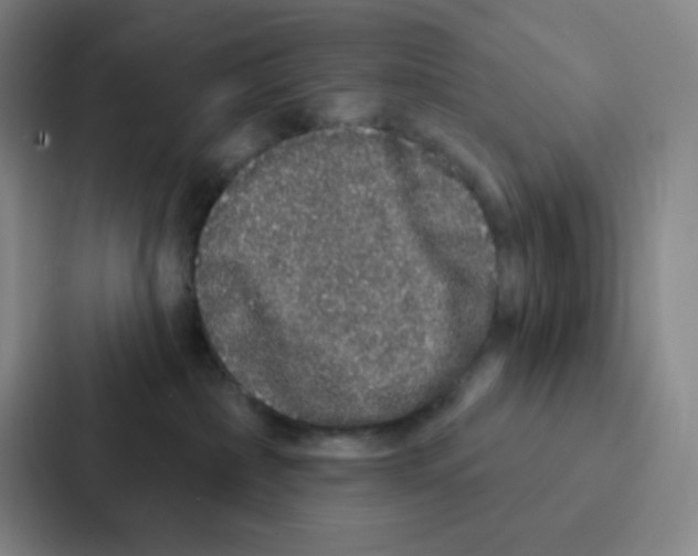 X0000086950236200705141828