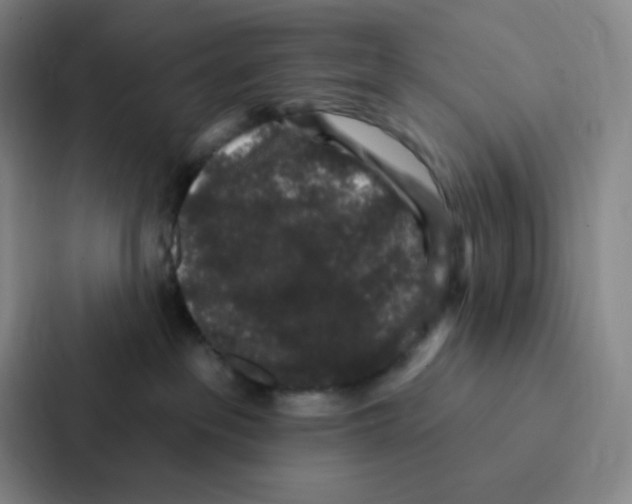 X0000086950237200705141828