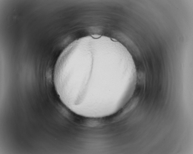 X0000086950238200705141828