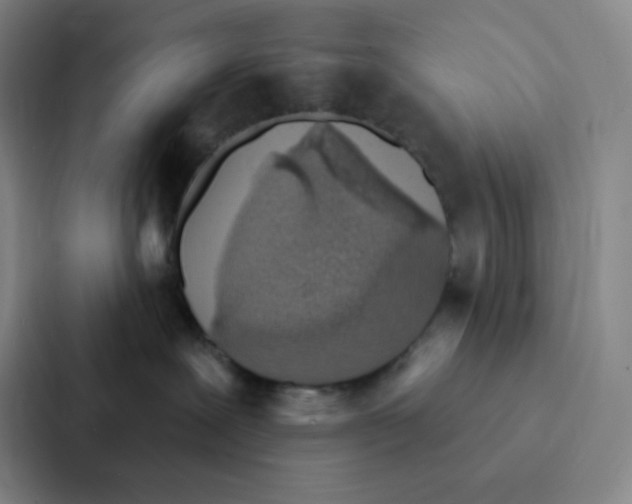 X0000086950239200705141828