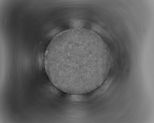 X0000086950240200705141828