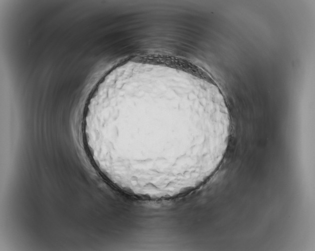 X0000086950241200705141828