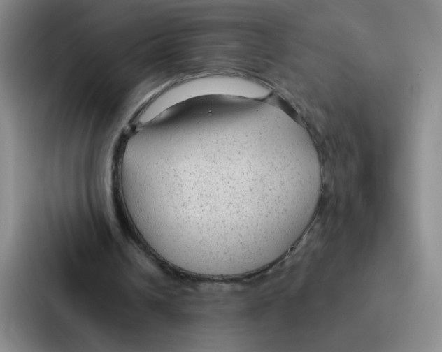 X0000086950242200705141828