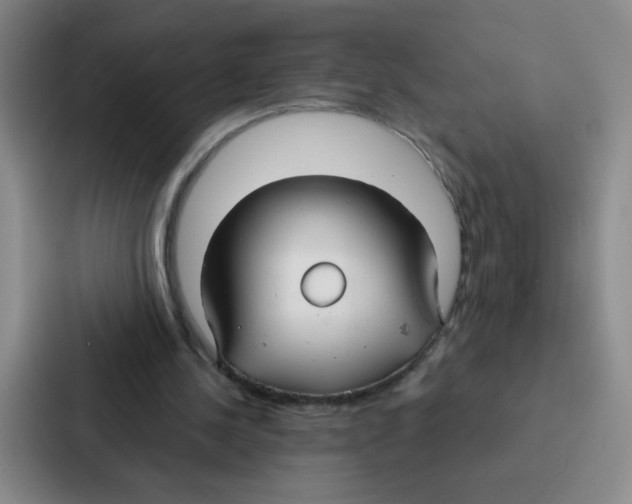 X0000086950244200705141828