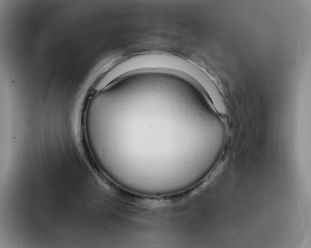 X0000086950245200705141828