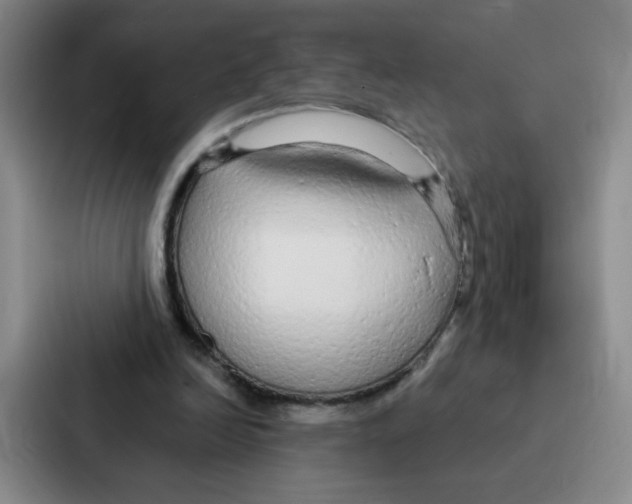 X0000086950246200705141828