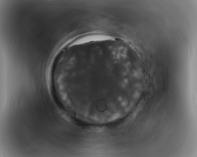 X0000086950247200705141828