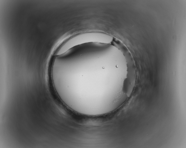 X0000086950248200705141828