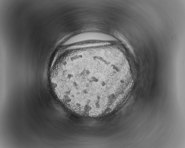 X0000086950249200705141828