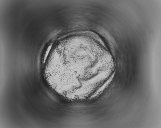 X0000086950250200705141828