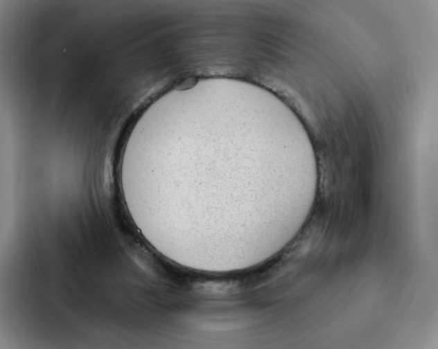 X0000086950251200705141828